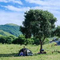 CHINA-INNER MONGOLIA-PASTURE-SCENERY (CN)