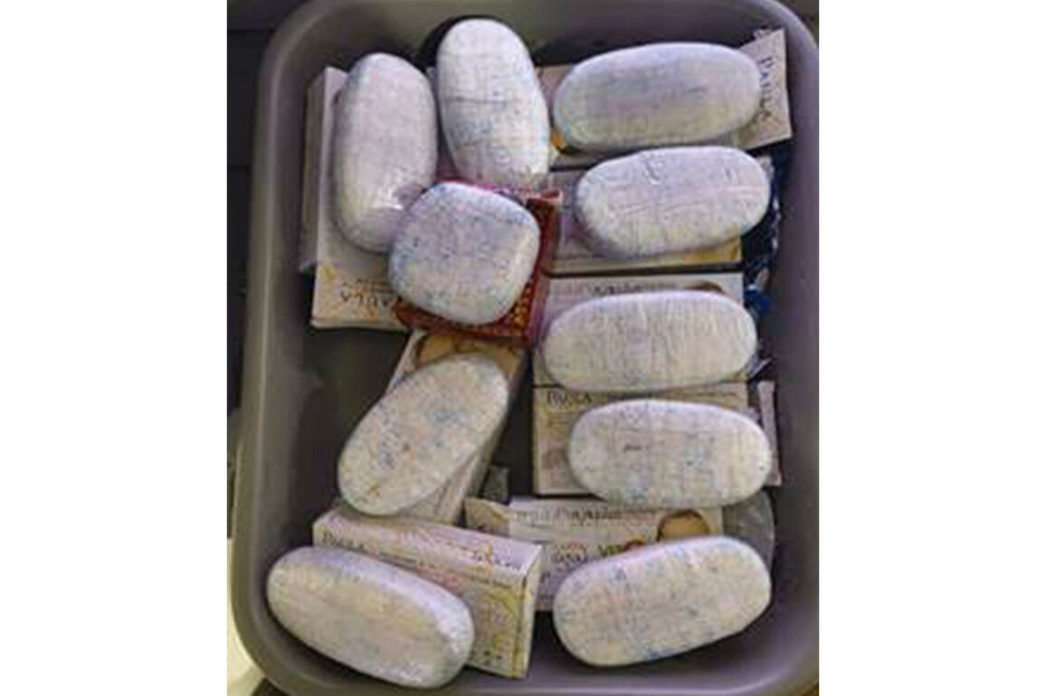 DRI seizes over 24 kg narcotic drugs in Kerala under Operation Chakravyuh; 5 arrested