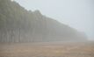 Planting trees may be a part of how livestock producers can transition to lower greenhouse gas emissions. 