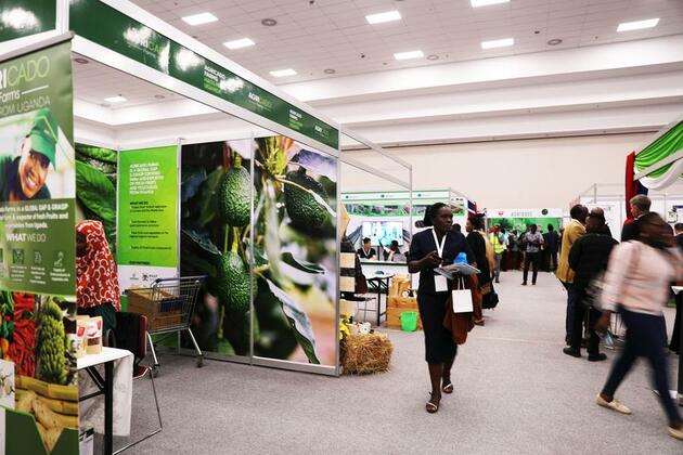(Hello Africa) Kenyan traders target vast Chinese market to boost agricultural exports