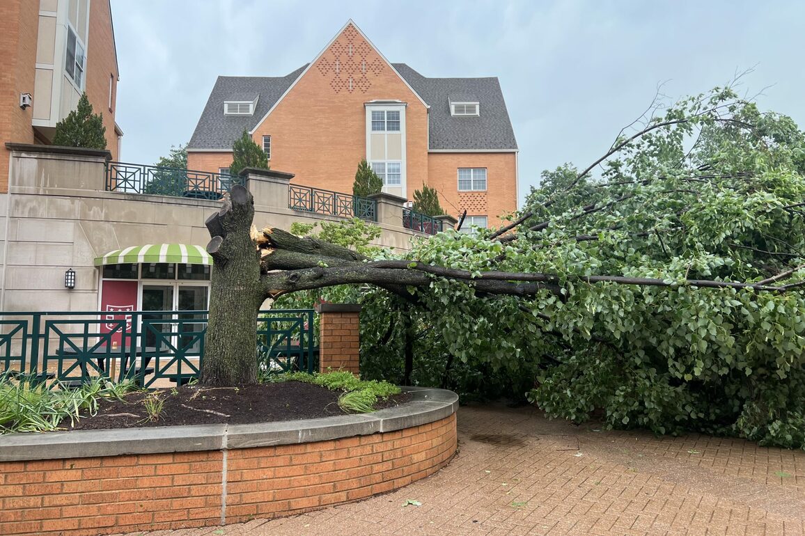 Danforth Campus suffers moderate damage in St. Louis storm - The Source - WashU
