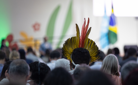 COP30: Scores of businesses join growing calls for fossil fuel phase-out roadmap