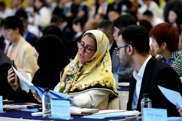 Column: Exploring cultural, heritage and future commonalities between Zhengzhou and Alexandria