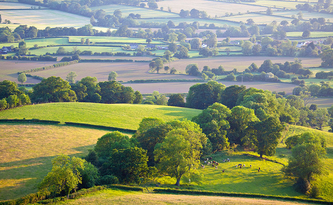 Farmers who have a live Sustainable Farming Incentive 2023 (SFI) agreement before the end of the year, will receive an accelerated payment in the first month of their agreement