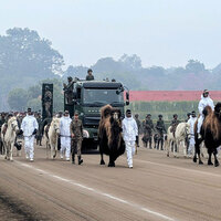 Indian Army's animal contingent to march on Republic Day 2026