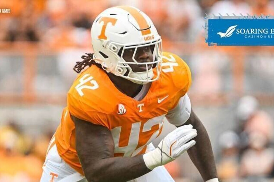 Lions draft defensive lineman Tyre West