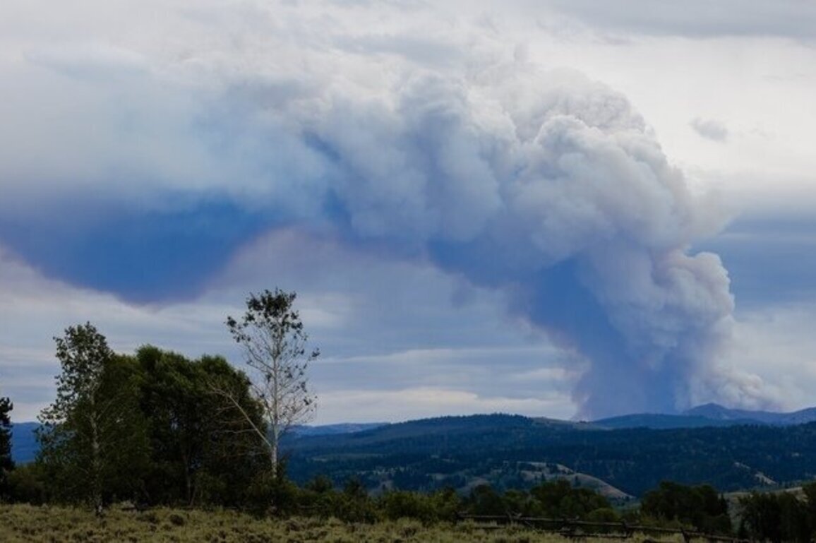 NM wildfire predictions ramp up well ahead of summer  
