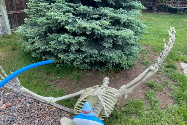 Who beheaded a beloved 12-foot-tall skeleton in Arvada&quest;