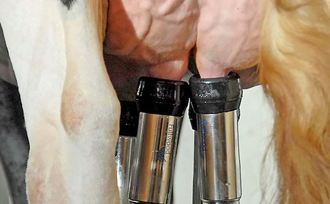 Cases of environmental mastitis are a result of opportunistic infections usually caused by environmental strains of streptococcus uberis and/or coliform bacteria such as E.coli.