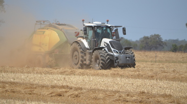 Bendigo Bank is quietly confident of the outlook for farming heading into 2026.