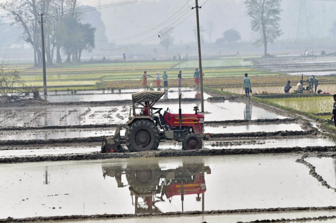 Tractor industry growth to stay flat in FY27 amid price hikes, subsidy normalization: YES Securities