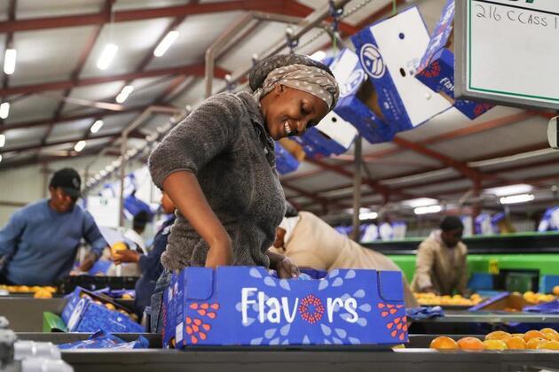 Interview: China's zero-tariff policy to boost African export confidence, global trade stability, says industry leader