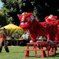 Feature: Historic U.S. library rings in Chinese New Year with joy