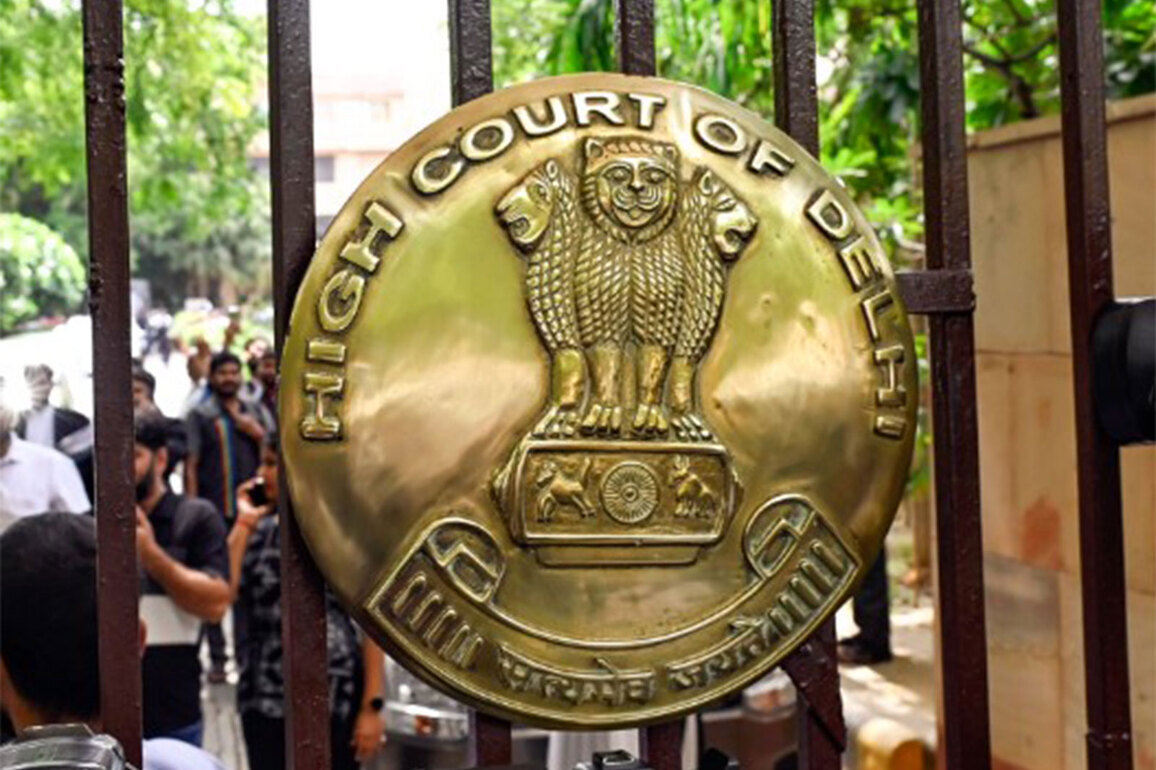 "Even light pressure on jugular vein can be fatal, issue not as simple as being argued," Delhi HC on CM Rekha Gupta attack case