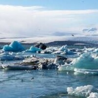 Study reveals impact of animals as architects of Earth