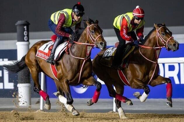 Superstars Forever Young, Calandagan, Rebel's Romance among Dubai World Cup likely fields