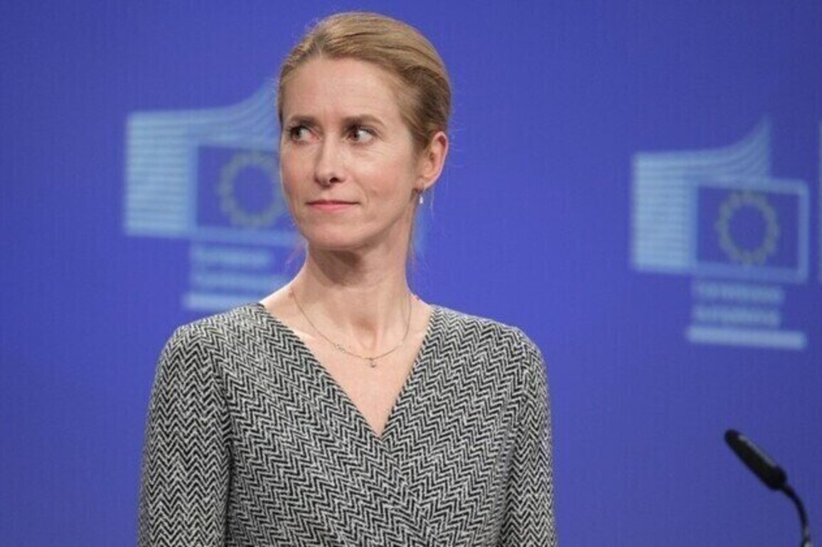 Ukraines energy kickback case extremely unfortunate  EUs top diplomat