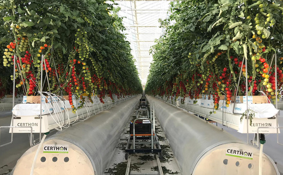 Korea's IMM leads $64m round for vertical farming company