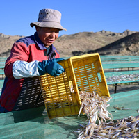 CHINA-QINGHAI-GONGHE-LONGYANG GORGE-FISHERY-TOURISM (CN)