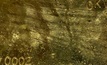  One of two bars produced during commissioning of the gold room