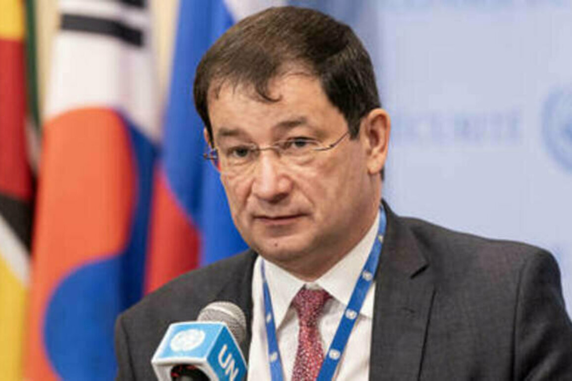 Russia calls for more global seats on UN Security Council