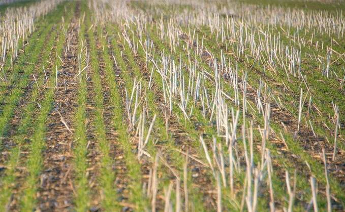 Avoid conditions that produce nitrous oxide in move to no-till