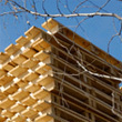 Imports of softwood are down by 20%
