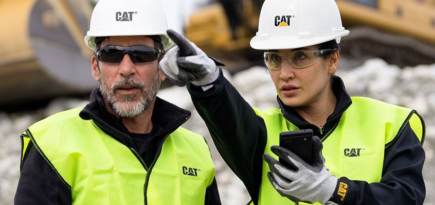 Cat AI Assistant: some kind of co-pilot?