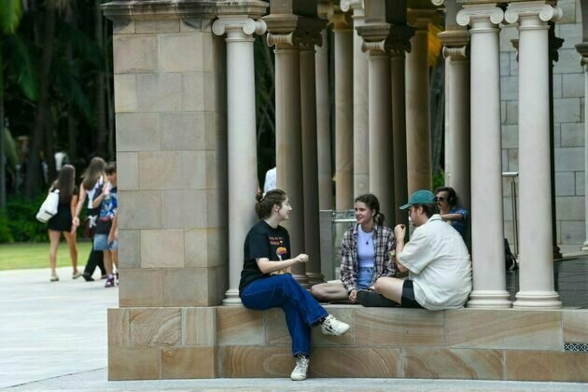 Universities have lost their way, but cost-cutting and consultants are not the answer