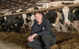 Integrated beef supply chain gives clear targets for calf rearing on Cheshire dairy farm