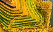 A recultivated landscape after mining in Western Bohemia, Czech Republic