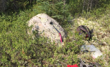 A boulder grading an estimated 20% lithium from within Metalstech's claims in Quebec, Canada