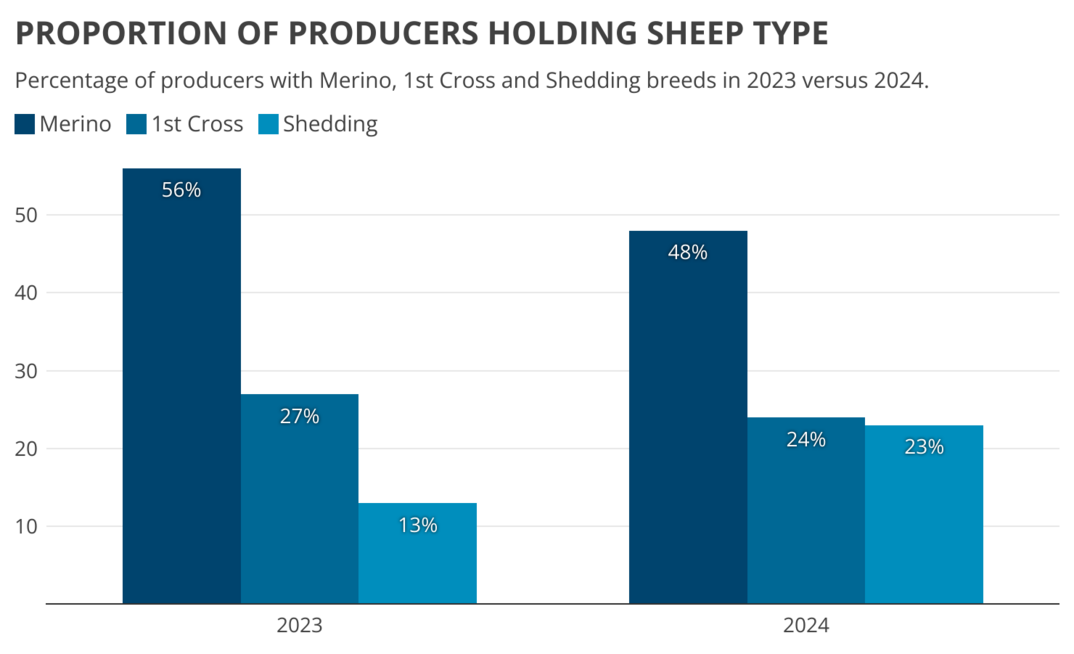 Episode 3 says the make up of the Australian sheep flock is changing. 
