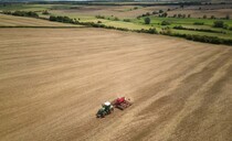 Iran war: Arable farmers face uphill battle for survival if price inputs continue to soar