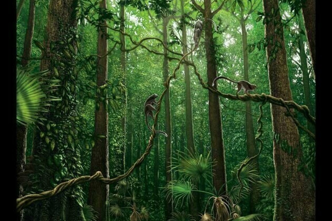 56 million years ago, Earth underwent rapid global warming. Here's what it did to pollinators