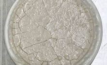 Carbonato misto úmido produzido com terras raras do projeto Colossus