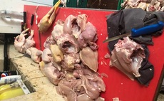 Four men handed jail terms after diverting meat not meant for human consumption back into food chain