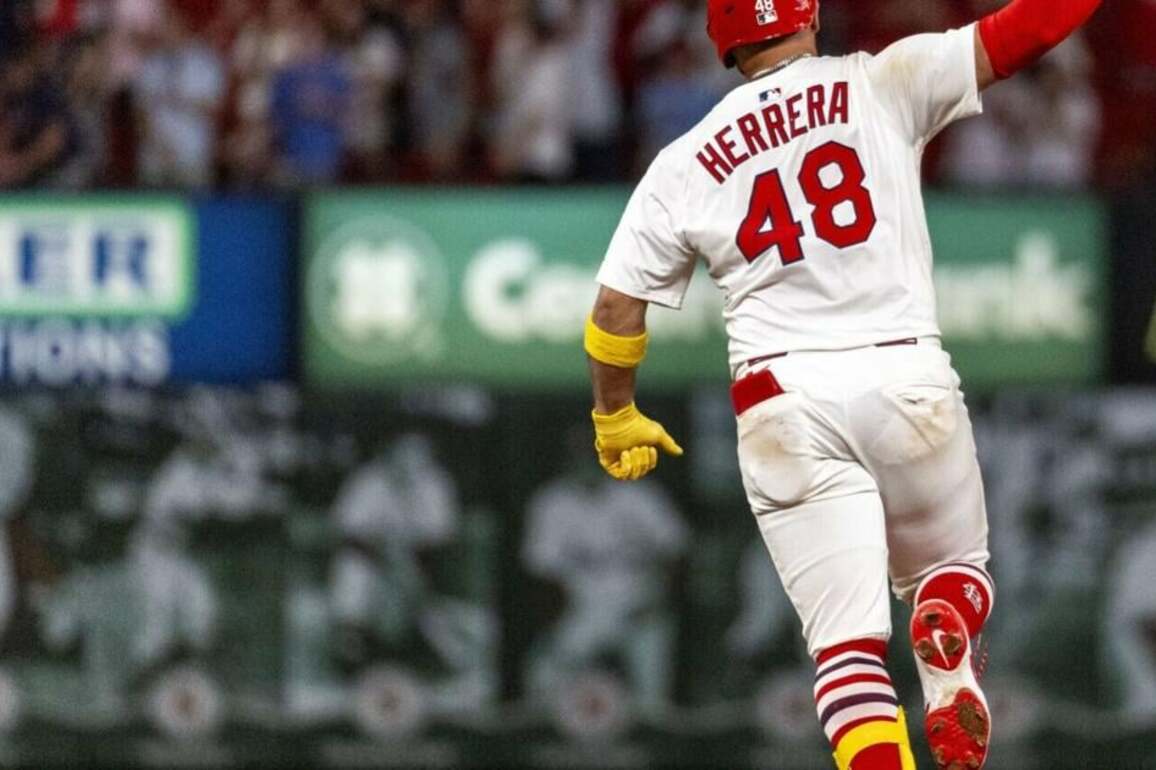 Cardinals lose after Helsley's 3rd blown save of home stand