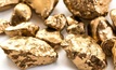  Conglomerate gold hopeful hits 52-week high