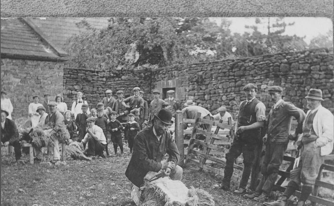 FG 180: The historic art of sheep gathering and shearing