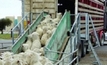 Sheep slaughter, exports down in 2015
