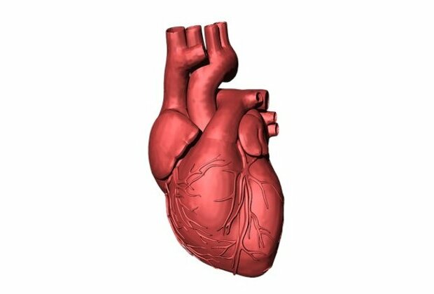 Patients with enlarged hearts have better health: Research