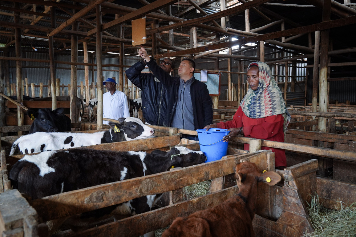 ETHIOPIA-ADDIS ABABA-CHINESE AGRICULTURAL EXPERTS