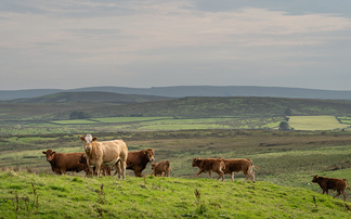 The Spending Review: ż will 'abandon nature-friendly practices' if funding is cut