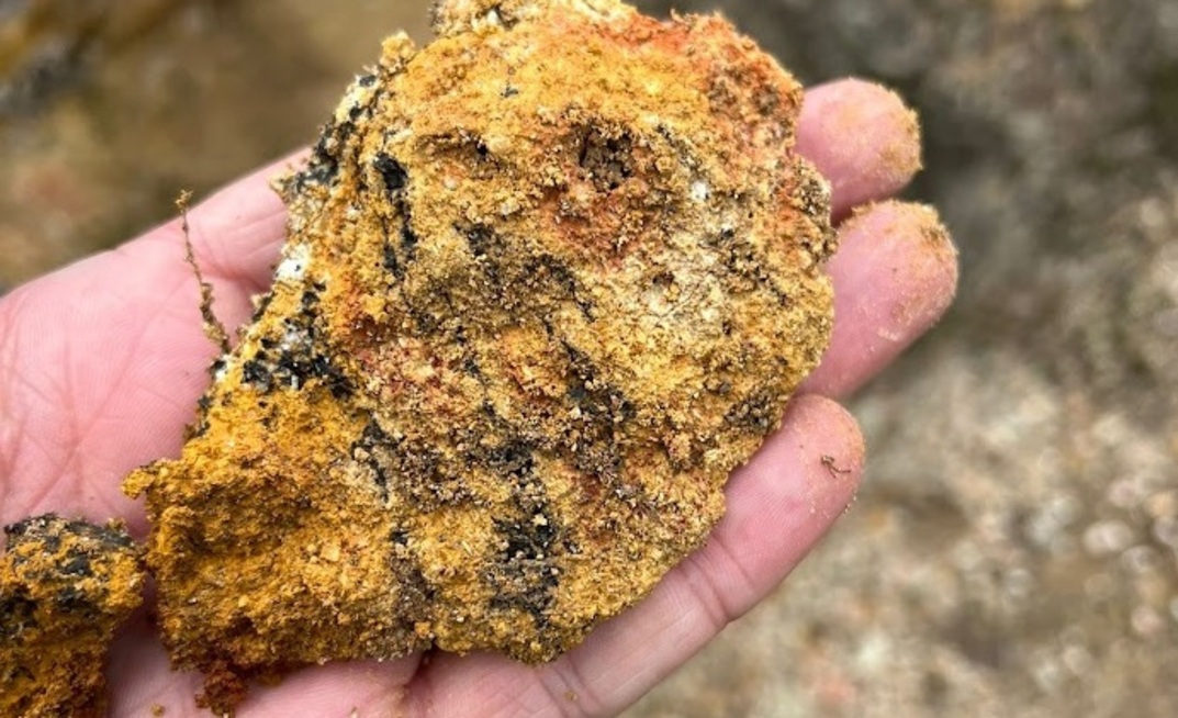 Meteoric wants cash for work on finding and processing this sort of rare earths material. Credit: Meteoric