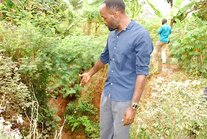 ideon sentongo ukwago the defence secretary of alley one points out the deep trench where sewerage from iruddu ospital passes hoto by gnes antambi
