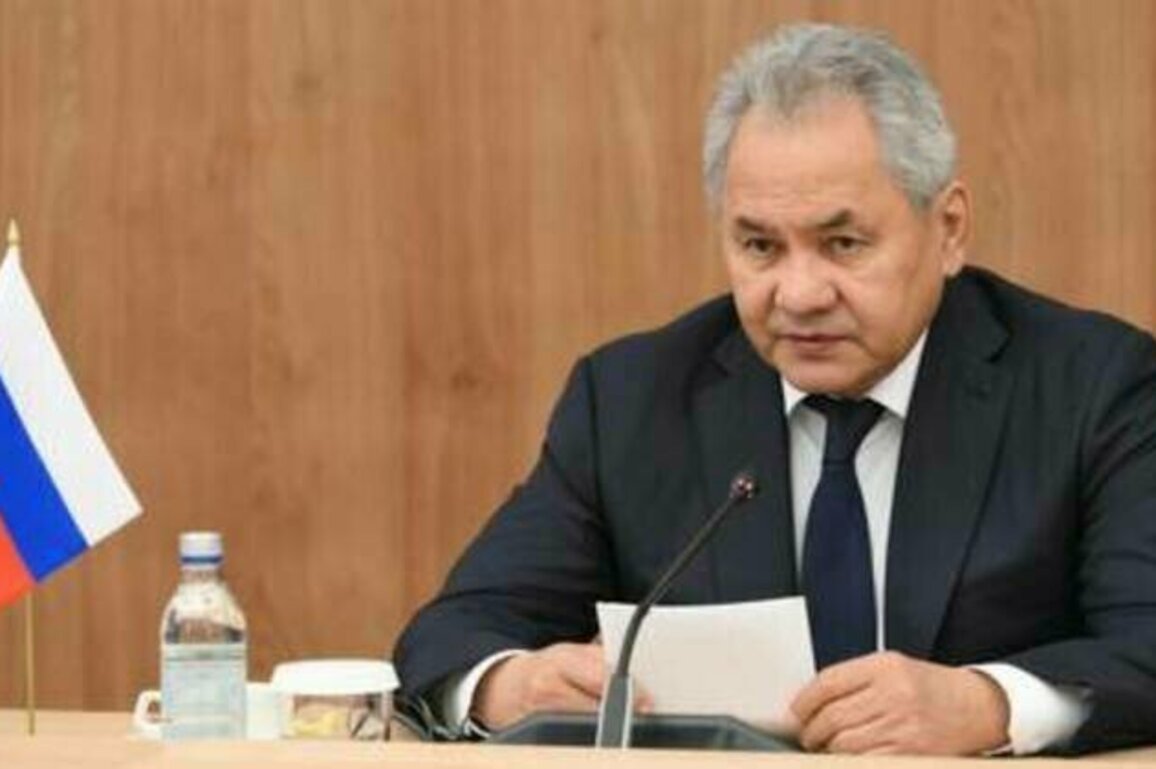 Russia ready to assist Taliban - Shoigu
