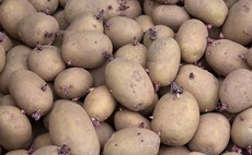 Potato growers urged to fund their own research