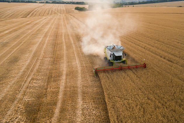 Ukraine: how the global fertiliser shortage is going to affect food