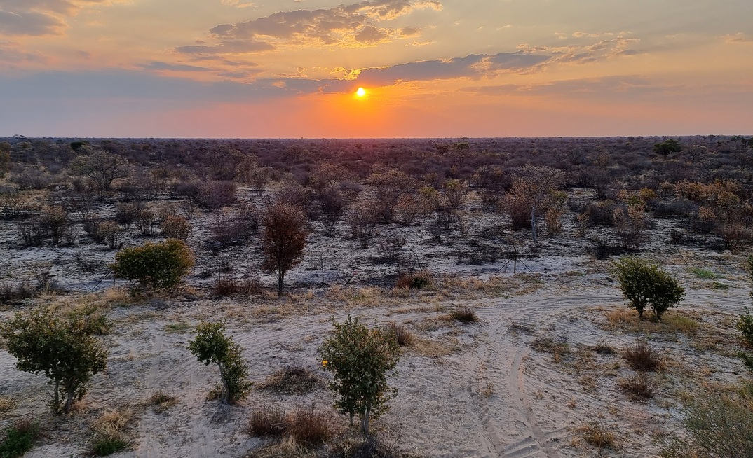 Botswana Diamonds' Kalahari licence area